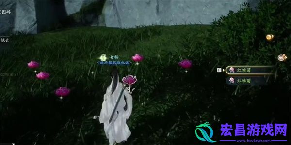射雕手游蝴蝶雏菊收集攻略