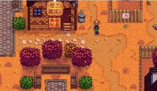 星露谷物语姜岛怎么和男孩说话：轻松解锁姜岛剧情，与小男孩增进友谊!