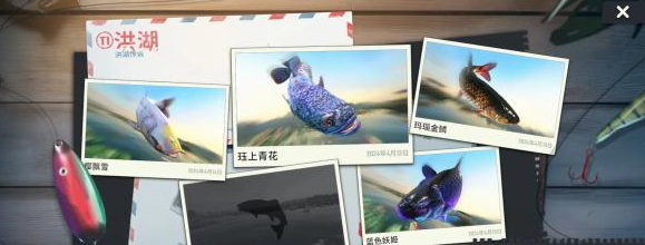 欢乐钓鱼大师怎么钓稀有鱼：揭秘《欢乐钓鱼大师》中稀有鱼的钓鱼秘籍!
