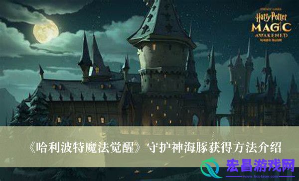 哈利波特魔法觉醒守护神海豚获得