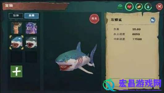 创造与魔法虎皮鲨怎么得