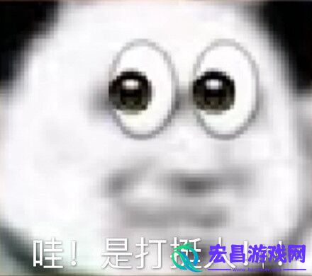 双11打挺人是什么梗