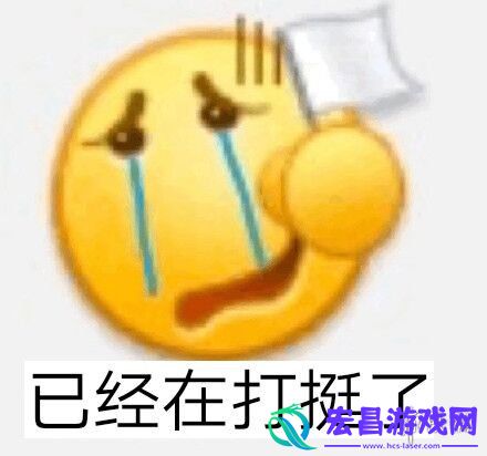 双11打挺人是什么梗