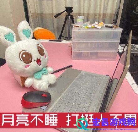 双11打挺人是什么梗