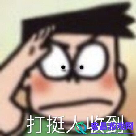 双11打挺人是什么梗