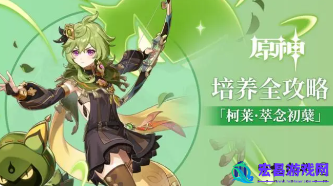 原神3.1柯莱怎么配队