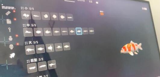 剑星钓鱼全收集技巧
