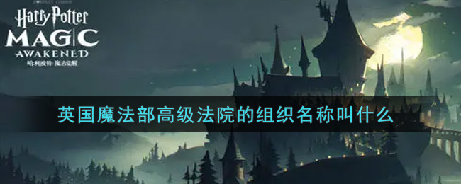 哈利波特