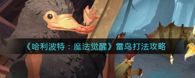 哈利波特