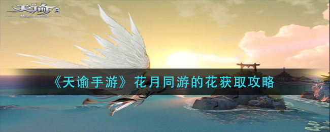 天谕手游花月同游中的花该如何获得