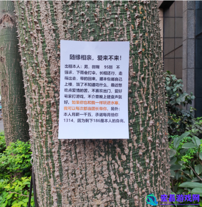 赛博相亲