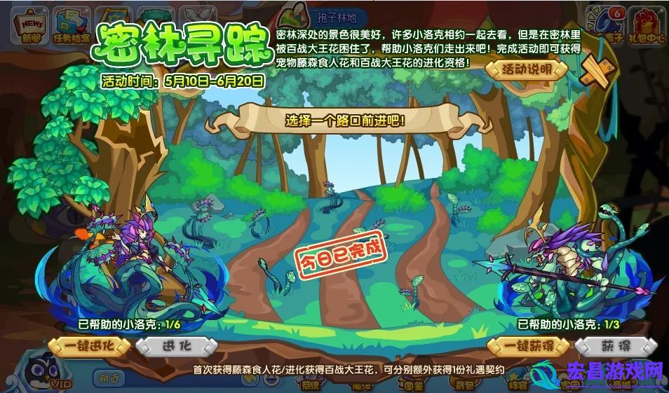 洛克王国密林寻踪活动怎么玩