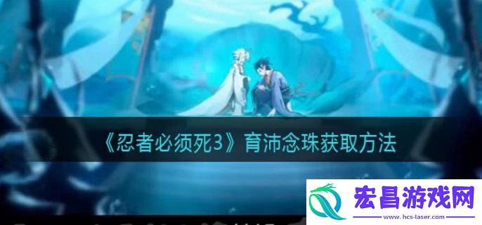 忍者必须死3