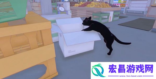 小猫咪大城市五个箱子在哪5个箱子位置位置大全