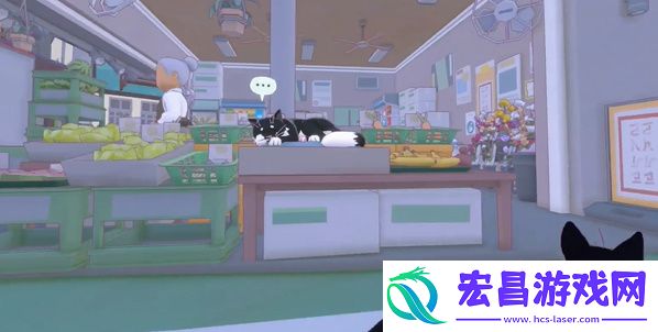 小猫咪大城市五个箱子在哪5个箱子位置位置大全