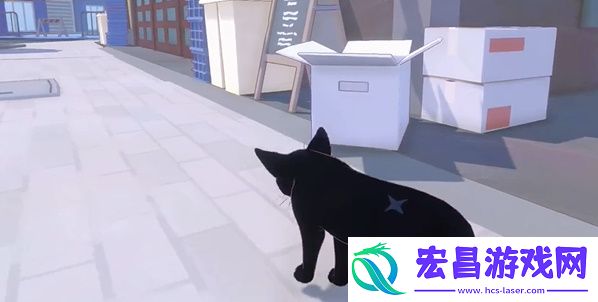小猫咪大城市五个箱子在哪5个箱子位置位置大全