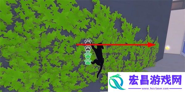 小猫咪大城市老虎帽获得方法介绍