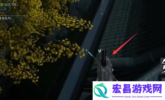 射雕鹭羽位置
