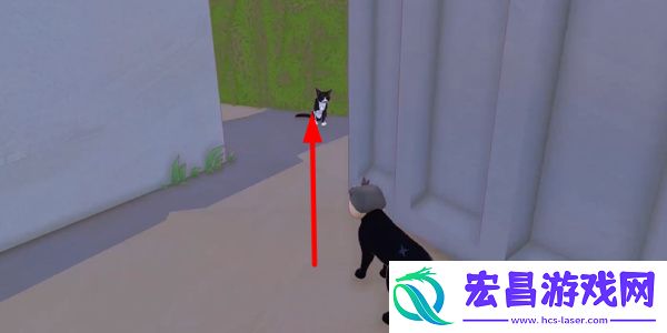 小猫咪大城市日常美容动作获得方法介绍