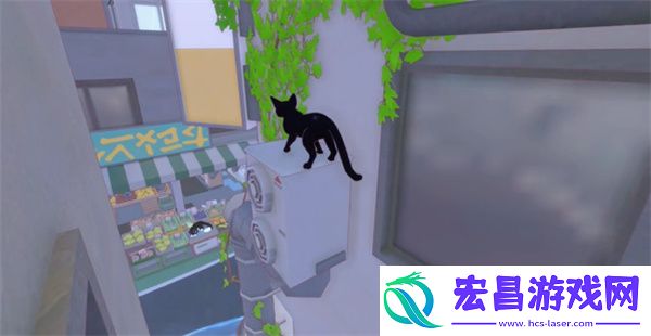 小猫咪大城市等待一缕阳光成就攻略