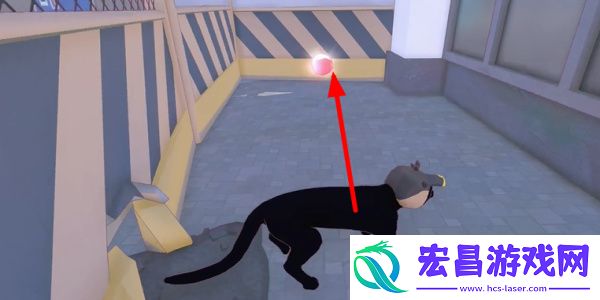 小猫咪大城市蜜柑帽获得方法介绍