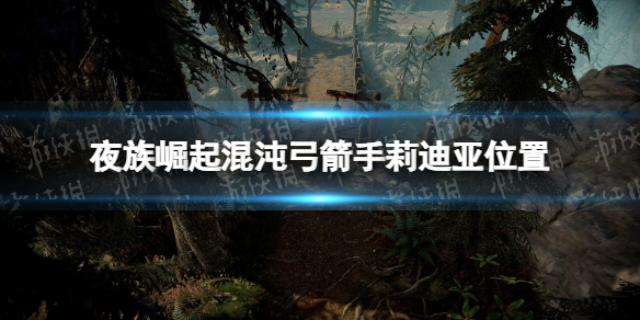 夜族崛起混沌弓箭手在哪