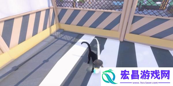 小猫咪大城市蝴蝶帽在哪
