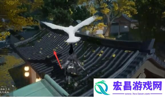 射雕鹭羽位置