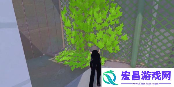 小猫咪大城市日常美容动作获得方法介绍