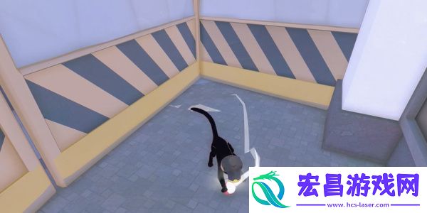 小猫咪大城市蜜柑帽获得方法介绍