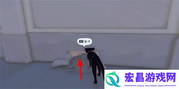 小猫咪大城市瓢虫帽获得方法介绍