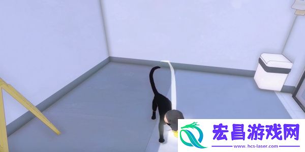 小猫咪大城市饭团帽获得方法介绍