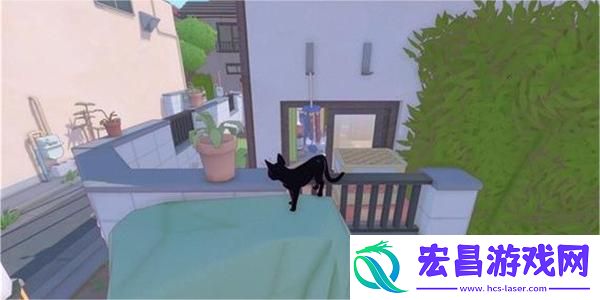 小猫咪大城市蜜柑帽获得方法介绍