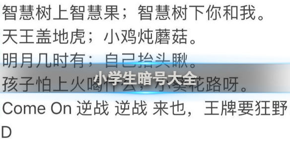 小学生暗号大全小学生暗号汇总2024