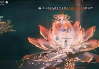 射雕韩小莹怎么打