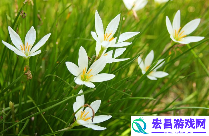 爱花草植物怎么删除