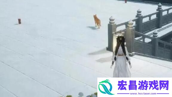 射雕手游无定坊猛兽献宝位置