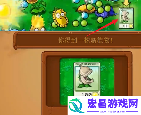 植物大战僵尸杂交版冒险第一关如何过关