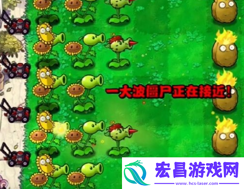 植物大战僵尸杂交版冒险第三关怎么玩