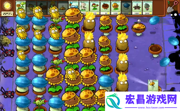 植物大战僵尸杂交版冒险8关怎么过