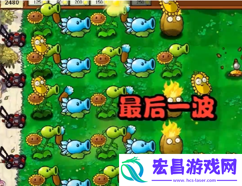 植物大战僵尸杂交版冒险第一关如何过关