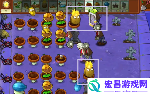 植物大战僵尸杂交版冒险8关怎么过