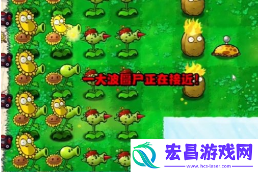 植物大战僵尸杂交版冒险第三关怎么玩