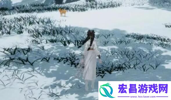 射雕手游无定坊猛兽献宝位置