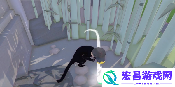 小猫咪大城市仙人掌帽获得方法介绍