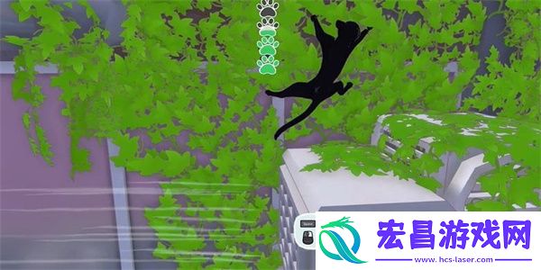 小猫咪大城市向日葵帽获得方法介绍
