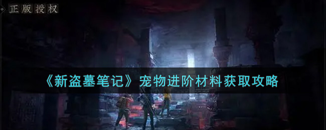 新盗墓笔记宠物进阶材料获取攻略