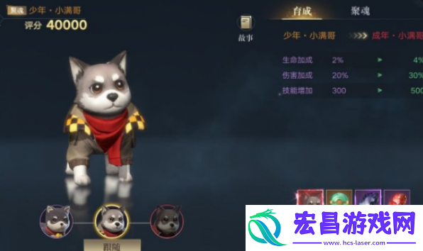 新盗墓笔记宠物进阶材料获取攻略