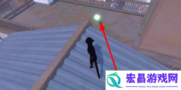 小猫咪大城市包子帽获得方法介绍