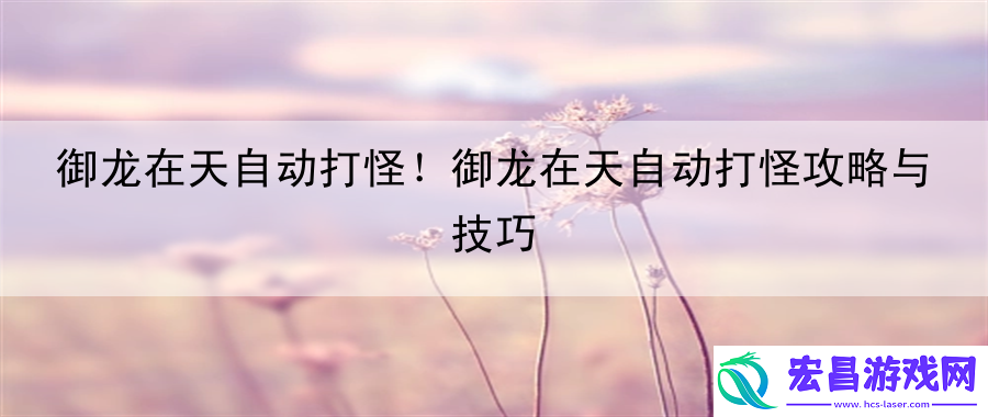 御龙在天自动打怪！御龙在天自动打怪攻略与技巧